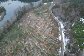 Strathcona Dam Early Works